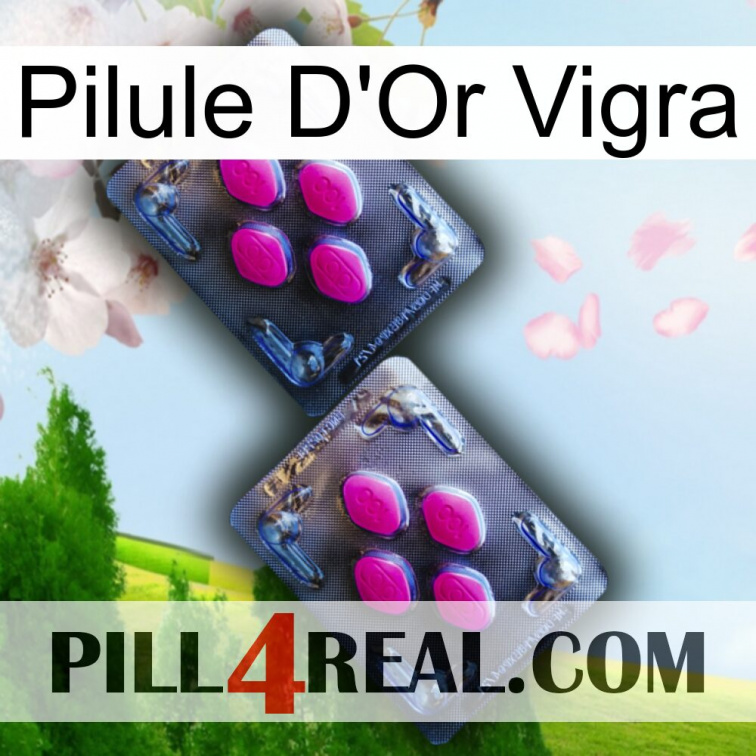 Vigra Gold Pill 01